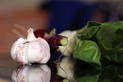 Close-up of vegetables