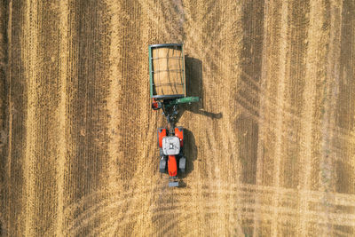 Top view of trailer with harvested wheat grains