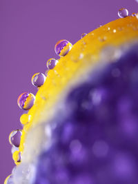 Close-up of water over black background