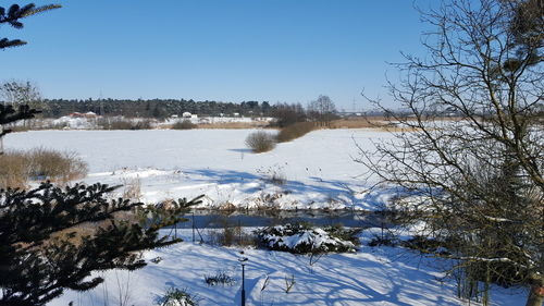 Scenic view of trees against clear sky during winter