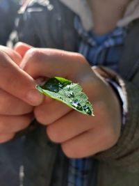 Midsection of person holding leaf