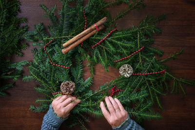 Cropped hand of woman holding plant