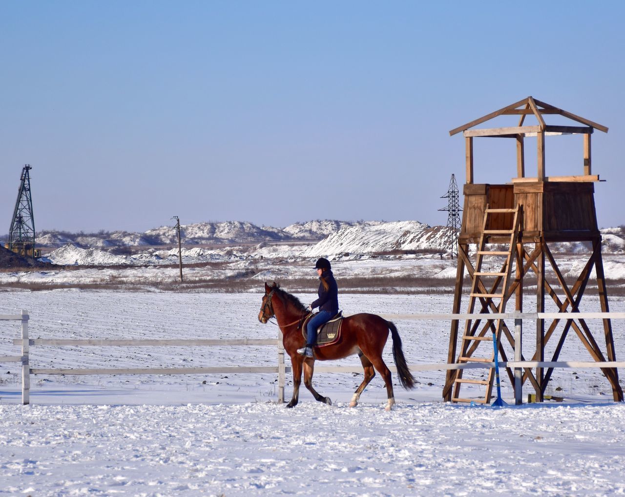 horse, winter, snow, domestic animals, mammal, cold temperature, animal, animal themes, pet, nature, sky, livestock, one animal, animal wildlife, land, clear sky, day, architecture, environment, activity, landscape, built structure, horseback riding, water, men, leisure activity, beauty in nature, scenics - nature, beach, working animal, outdoors, one person, sunny, sea, full length, blue, sunlight, adult, white, person, sports