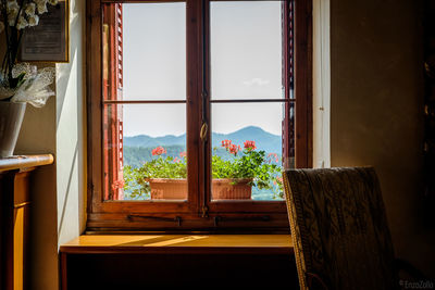 Potted plants on window of house