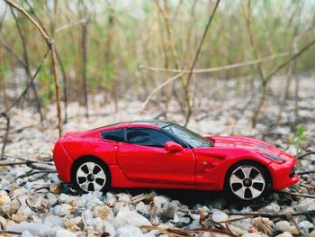 Red toy car on field