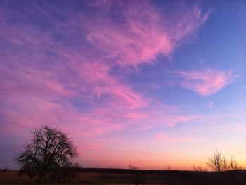 Silhouette trees on field against sky during sunset