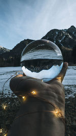 Close-up of tree by lake against sky