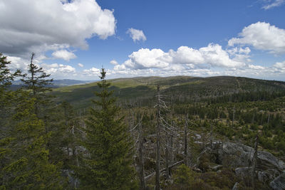 Scenic view of landscape against sky