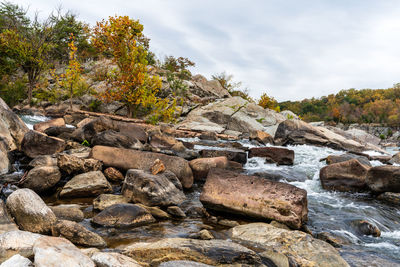 Surface level of rocks by trees against sky