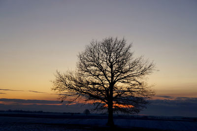 Silhouette bare tree on landscape against sky during sunset