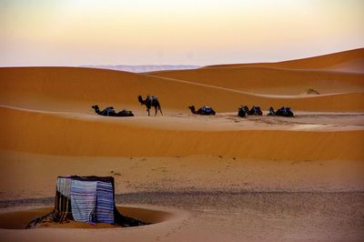 People on sand dune in desert against sky