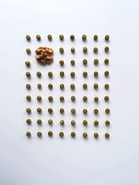 Close-up of over white background