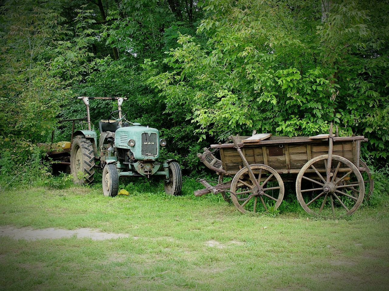 VIEW OF AGRICULTURAL FIELD