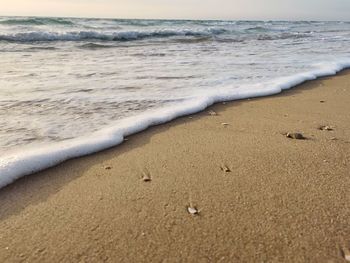 Scenic view of beach