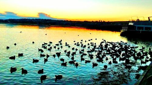 Scenic view of river at sunset