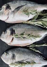 View of fish for sale in market