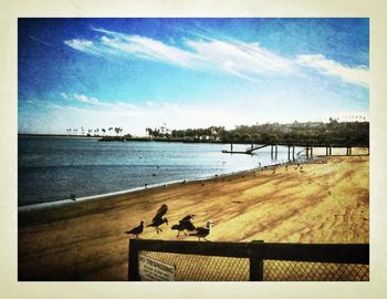 Reflection of trees in water
