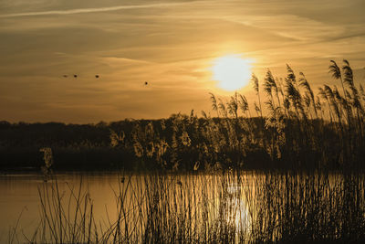 Scenic view of lake against orange sky
