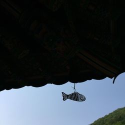 Low angle view of bird hanging on tree against sky