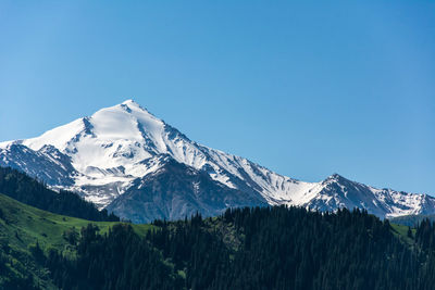 Scenic view of snowcapped mountains against clear blue sky