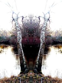 Reflection of bare trees on water against sky
