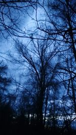 Low angle view of silhouette bare trees against sky