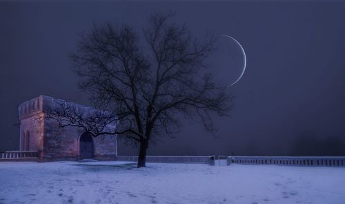 Bare tree on snow field against sky at night