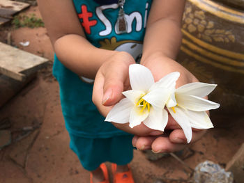 Close-up of hands holding white flowers