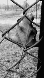 Close-up of chainlink fence against sky