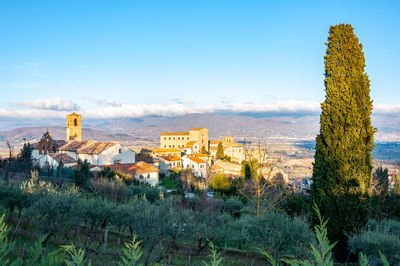Panoramic view of trees and buildings against sky