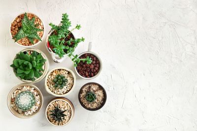 High angle view of vegetables in bowl on table