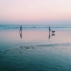 Scenic view of sea at sunset