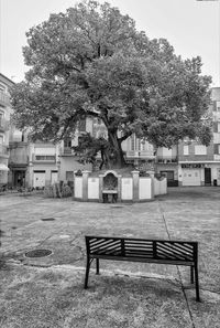Empty bench in park against buildings