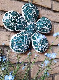 High angle view of succulent plant on wall