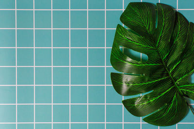 Close-up of palm leaves on tiled floor