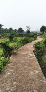 Dirt road along plants and landscape against clear sky