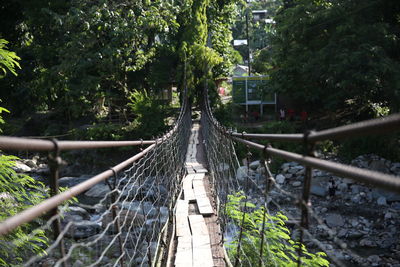 Footbridge amidst trees in forest