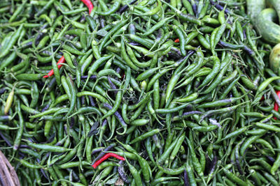 Green paprica in traditional vegetable market in kolkata