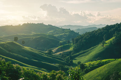 Scenic view of landscape against sky