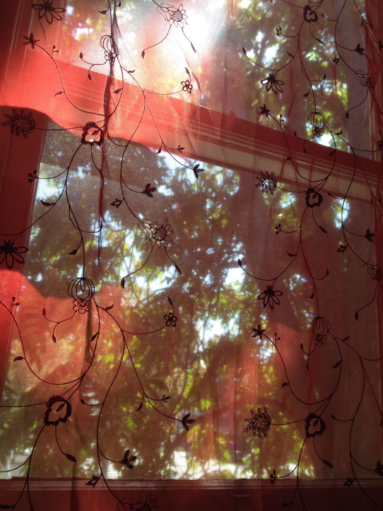 Redsunlight