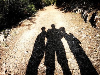 Shadow of couple on road