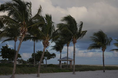 Palm trees by sea against cloudy sky