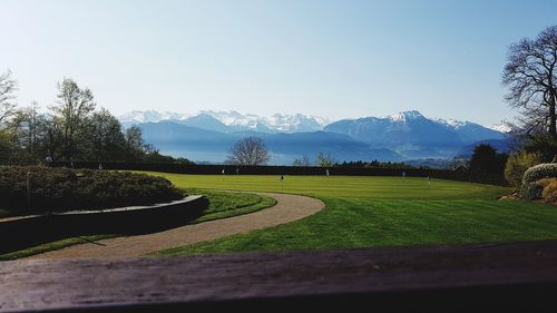 Scenic view of field against clear sky