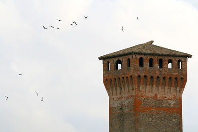 Low angle view of seagulls flying against sky