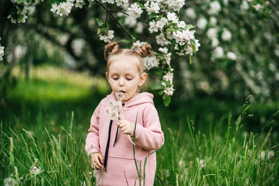 Girl with dandelion blooming apple trees