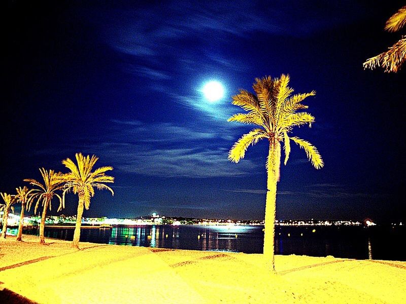 VIEW OF ILLUMINATED CITYSCAPE AT NIGHT