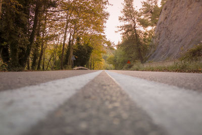 Empty road along trees