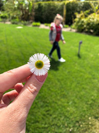 Cropped image of hand holding flowering plant