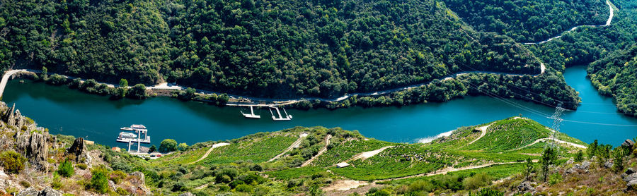 High angle view of river amidst trees in forest