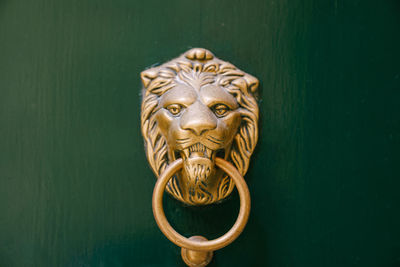 Close-up of cat on door